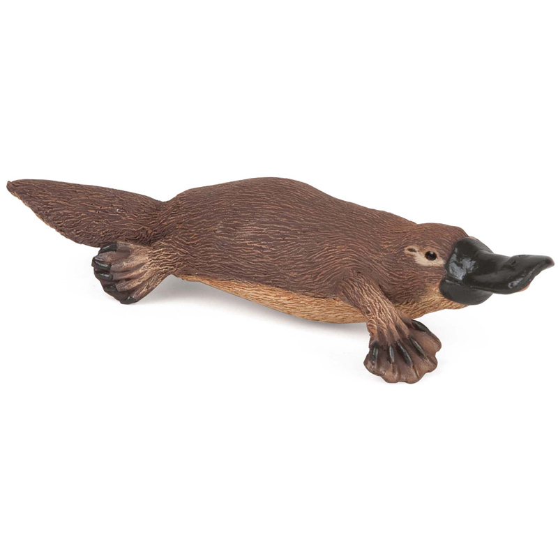 ty duck billed platypus